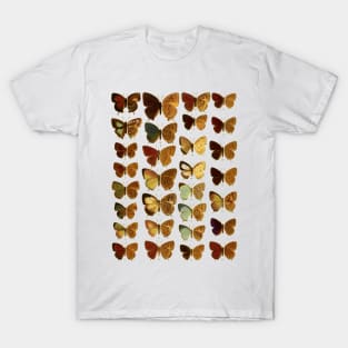 butterfly T-Shirt